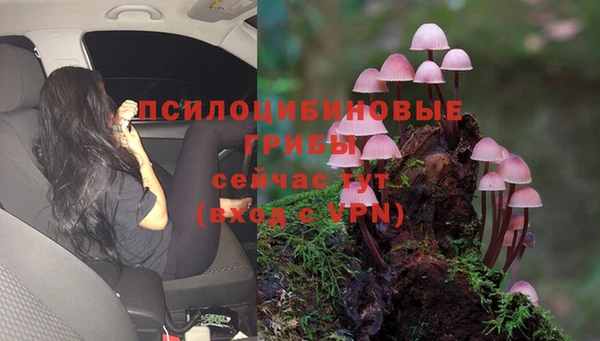таблы Белоозёрский