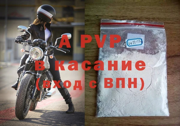 эйфоретик Белокуриха