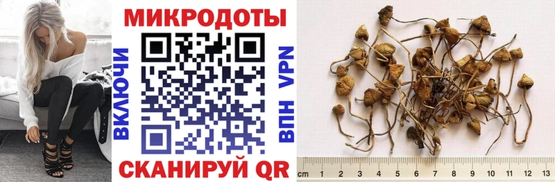 Галлюциногенные грибы Cubensis  купить   Комсомольск 